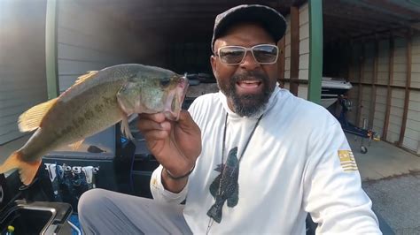 Catching Crappie In Brush Pile On Lake Oconee Youtube