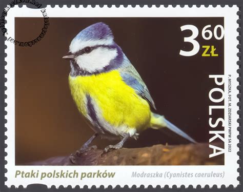 Ptaki polskich parków 5214 Katalog Polskich Znaczków Pocztowych