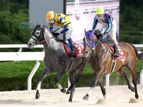 【園田・六甲盃結果】グリードパルフェがラッキードリームとの一騎打ちを制す 競馬ニュース Netkeiba