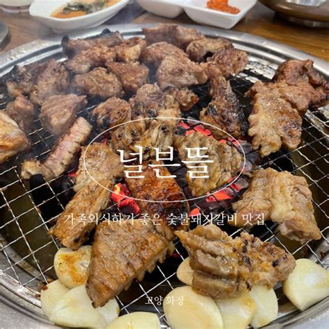 고양화정 널븐뜰 가족외식하기 좋은 화정동 숯불돼지갈비 맛집 네이버 블로그