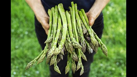 Fact check: No evidence asparagus can cure cancer