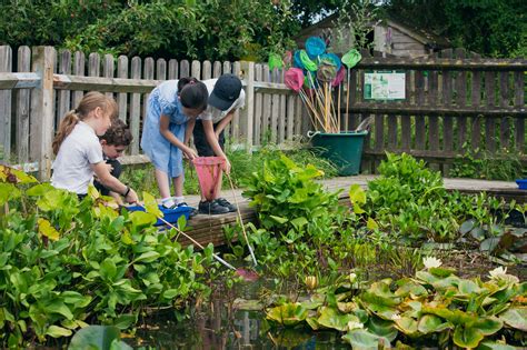 Our Outdoor Learning Environment - Hillside Primary School