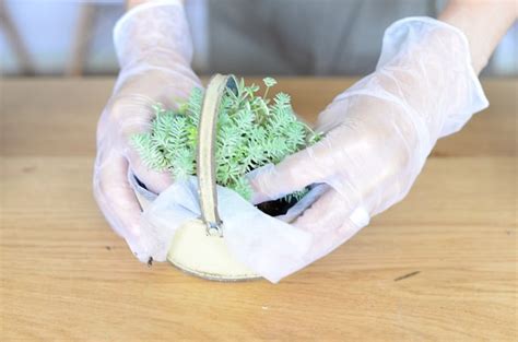 セダムを使ったリースや様々な寄せ植えアレンジの作り方 Lovegreenラブグリーン