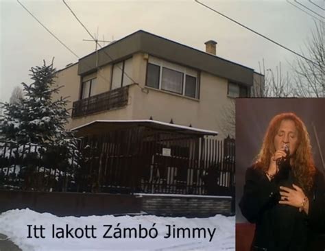 Gy N Z Ki Z Mb Jimmy H Za Ahol K T Vtizede Trag Di Ba Torkollott A