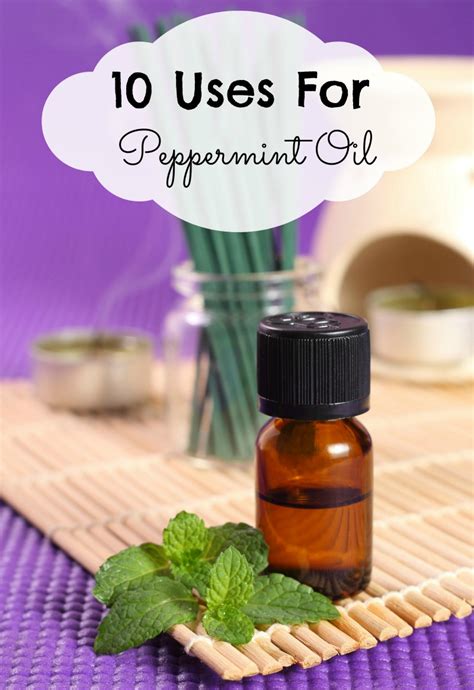 10 Uses For Peppermint Oil - Motherhood Defined