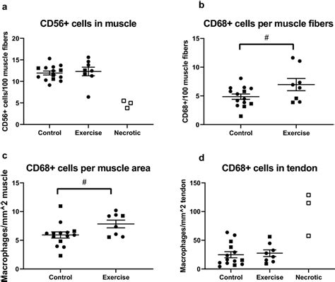 Satellite Cells And Macrophages In Muscle And Tendon Graphs Show The