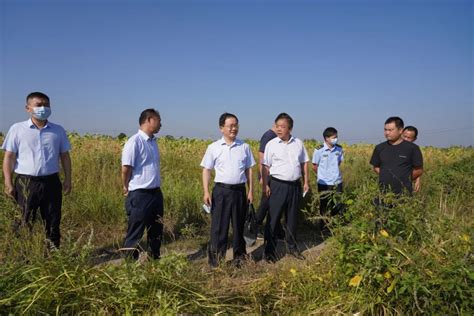 牢牢稳住粮食安全压舱石 区人大常委会调研粮食安全工作