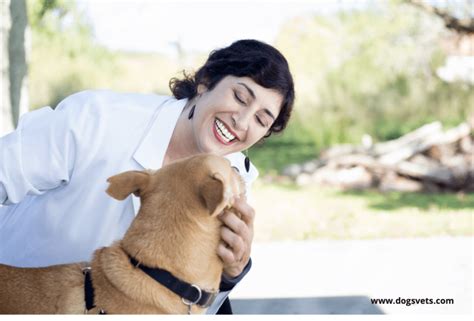 Cómo calmar a un perro hiperactivo Formas de cuidar a tus perros