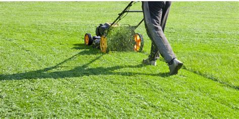 Best Mower For Bermuda Grass Gfl Outdoors