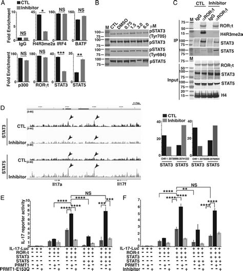 Prmt Inhibitor Regulates The Reciprocal Recruitment Of Stat And Stat