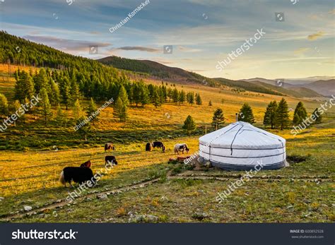 3,505 Traditional House Mongolia Images, Stock Photos & Vectors ...