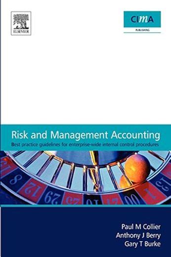 Libro Risk And Management Accountingbest Practice Guidelines For