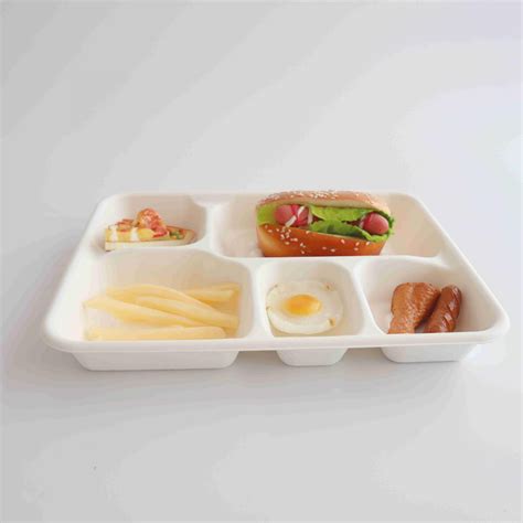 Biodegradable food trays, 5 compartment tray, disposable catering trays ...