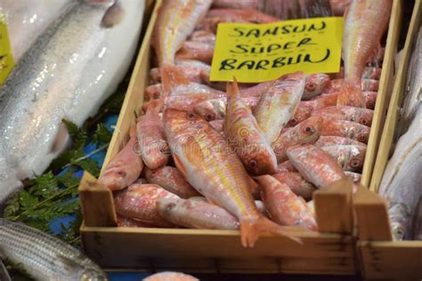 Variedade De Peixes No Mercado De Peixes De Istambul Foto De Stock