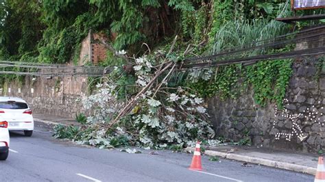 Jornal Correio Rvore Cai E Interdita Faixa Na Avenida Centen Rio