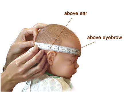 How to Measure Baby Head Circumference? – Mimos Pillow Singapore