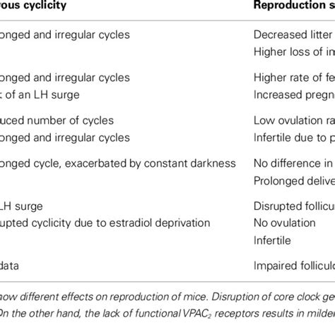 A Comparison Between Different Mouse Knockout Models In View Of