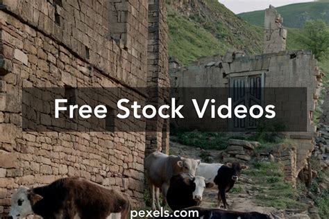 Brick Wall Animated Videos Download The Best Free 4k Stock Video