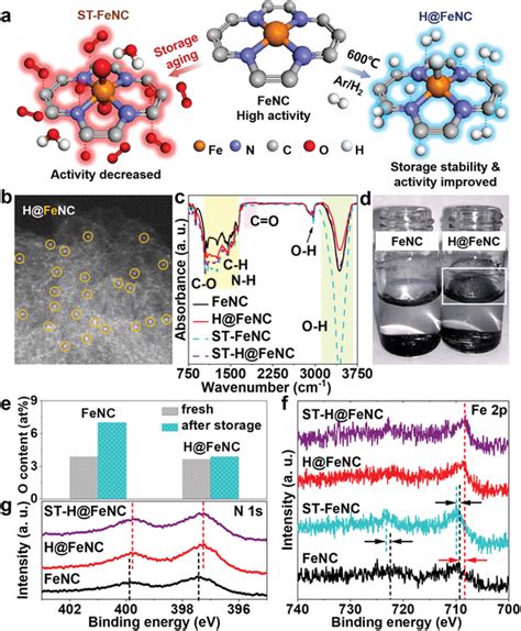 A Scheme Of The Oxidation Of FeNC Catalyst Due To Storage Aging And