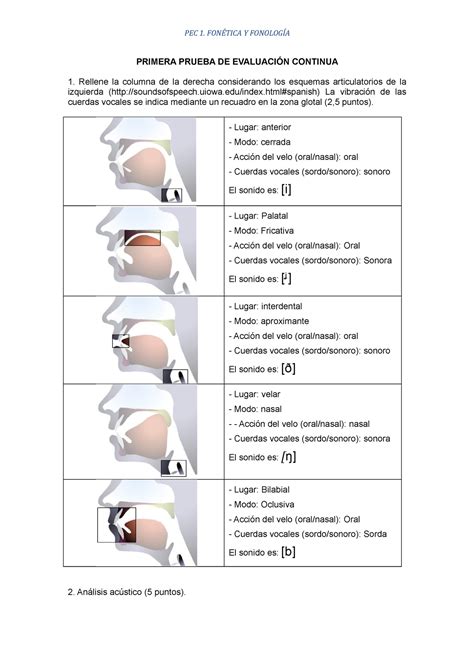 Prueba De Evaluaci N Continua I Pec Fon Tica Y Fonolog A Primera