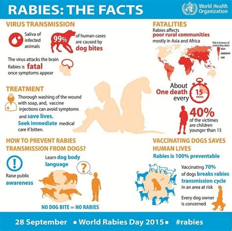 joins international calls  invest   defeating human rabies