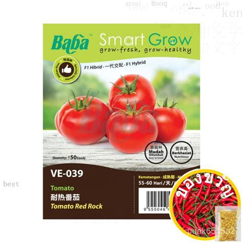 BABA SEED Baba Smart Grow Seed VE 039 Tomato Red Rock Tomato ทนความ