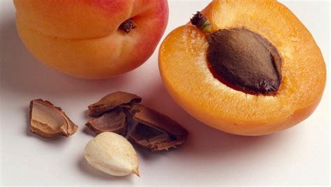 Amandes Des Noyaux D Abricots Attention Au Risque D Intoxication Au