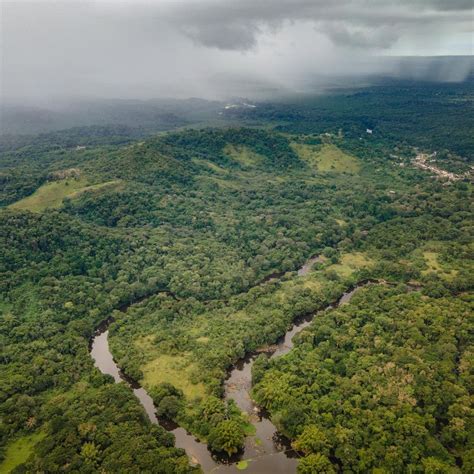 Bahia segue como um dos estados maior índice de desmatamento da