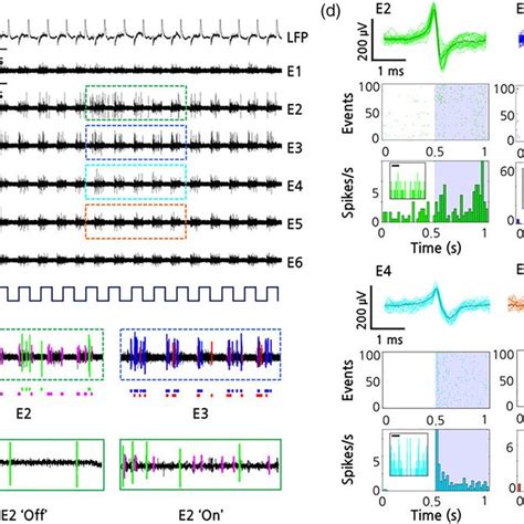 Different Types Of Primary Visual Cortical Neuronal Spike Trains