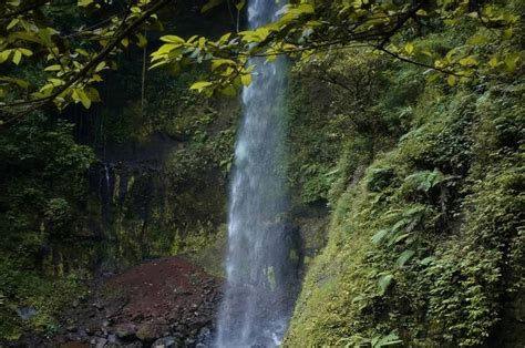 Curug Gado Bangkong Keindahan Tersembunyi Yang Memikat Di Kaki Gunung