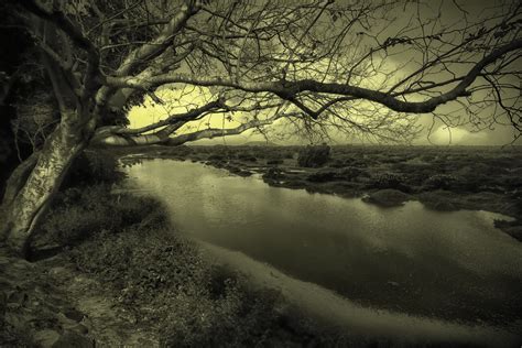 Fondos De Pantalla Luz De Sol Paisaje Bosque Monocromo Lago