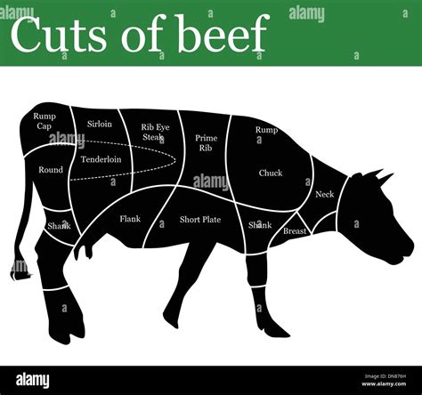 Cuts Of Beef Illustration Hi Res Stock Photography And Images Alamy