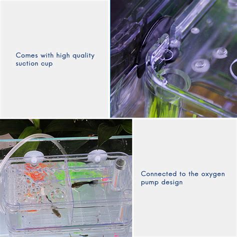 2024 Acrylic Fish Breeding Aquarium Dual Layer Hanging Fry Baby Fish