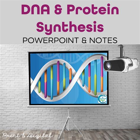 Dna And Protein Synthesis Powerpoint Notes And Videos Science Island