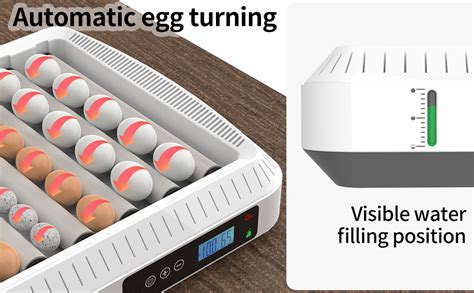 Amazon Airlya Life Eggs Incubators Incubator With Automatic