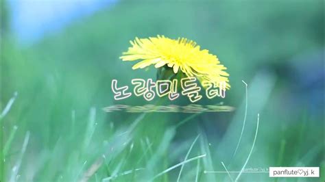 Panflute♡강연주 노랑민들레이연실 Youtube