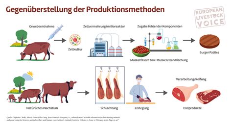 Laborfleisch Ist Das Wirklich Nachhaltig Und Hilft Dem Klimaschutz