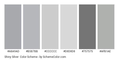 Shiny Silver Color Scheme