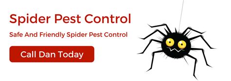 Spider Treatments Pest Control Perth Megatec Services