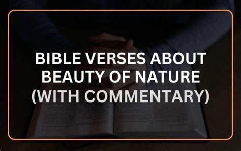 Top Bible Verses About Beauty Of Nature With Commentary