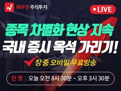 와우넷 공개방송 종목 차별화 현상 지속 국내 증시 옥석 가리기 네이트 뉴스