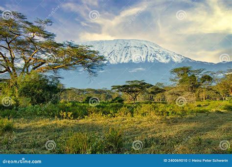 Pictures of the Snow-covered Kilimanjaro in Kenya Stock Photo - Image ...