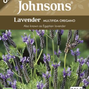 Lavender Multifida Oregano ORGANIC Johnsons Seeds