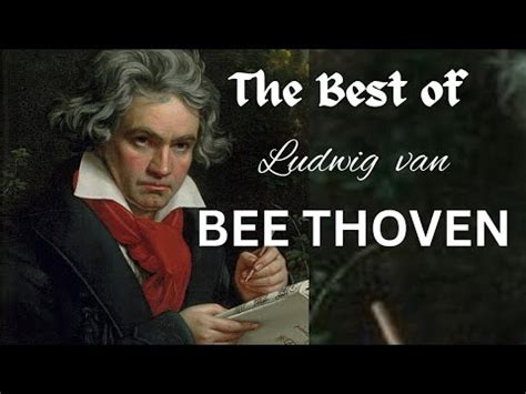 9th Symphony Finale By Beethoven Beethoven YouTube