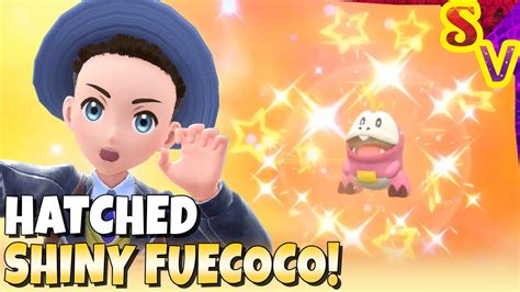 Shiny Fuecoco Hatched And Evolved Into Shiny Skeledirge Live Shiny