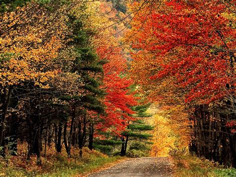 The Best Time To Travel To The Catskill Mountains Lois Clark House