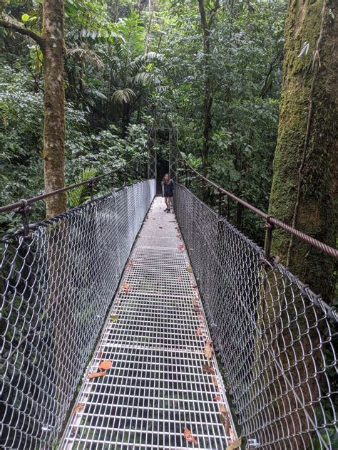 Hanging Bridges In Costa Rica Everything You Need To Know