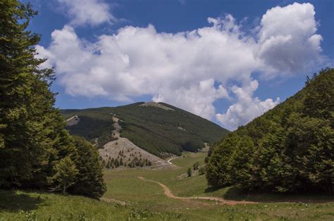 Parco Nazionale Del Pollino Cosa Vedere E Cosa Fare ViaggiArt