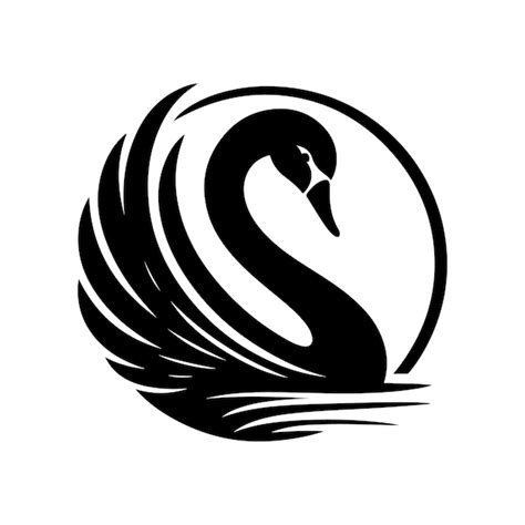 Black Swan Silhouette Vector Art With Transparent Background Fully