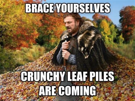 Brace Yourselves Crunchy Leaf Piles Are Coming Fall Memes Funny